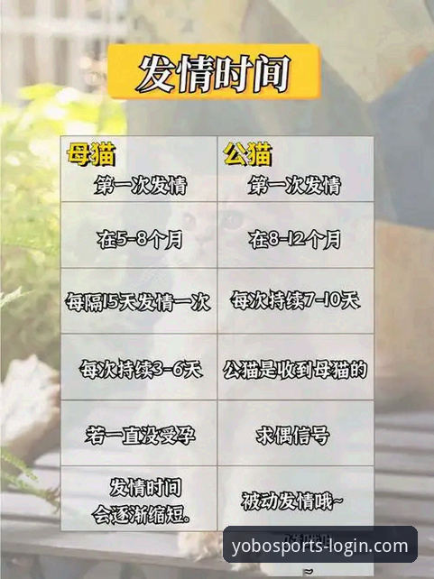 yobo体育登录不了怎么办？这些实用攻略帮你解决问题